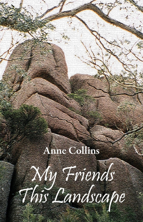 My Friends This Landscape - Anne Collins
