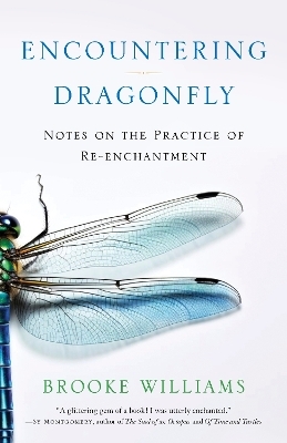 Encountering Dragonfly - Brooke Williams