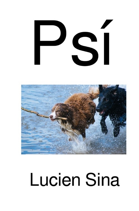 Ps&iacute; - Lucien Sina