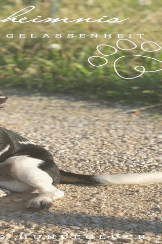 Das Geheimnis für hundliche Gelassenheit