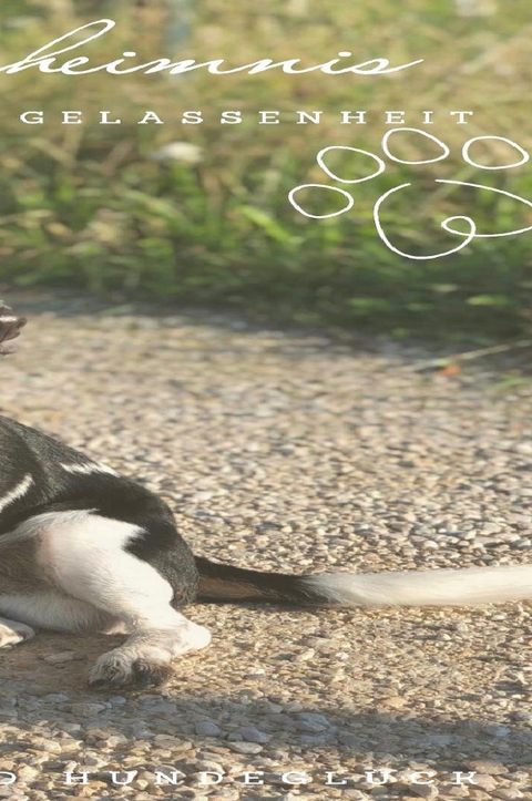 Das Geheimnis f&uuml;r hundliche Gelassenheit - Petra Bauschke