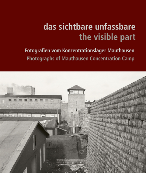 das sichtbare unfassbare / the visible part - 