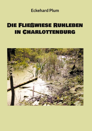 Die Fließwiese Ruhleben in Charlottenburg