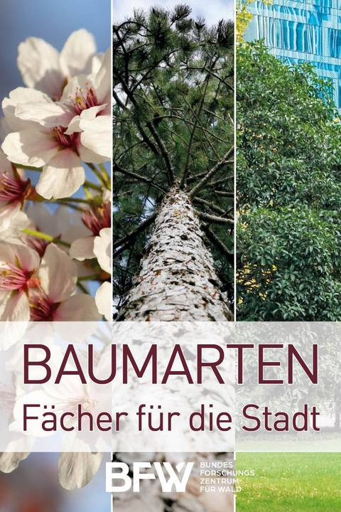 Baumarten - Marianne Schreck, Katharina Lapin, Gernot Hoch, Katharina Schwanda, Claudia Haumer, Martin Brandstetter