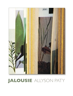 Jalousie - Allyson Paty