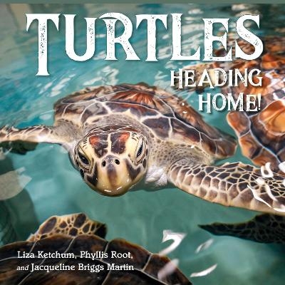Turtles Heading Home! - Liza Ketchum, Jacqueline Martin