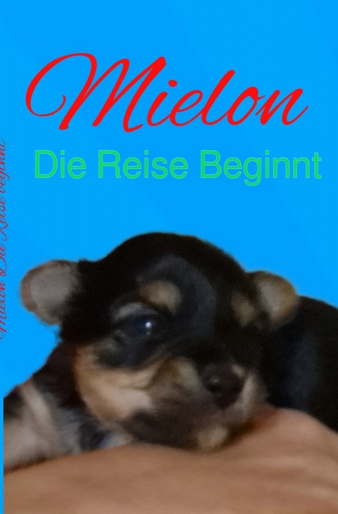 Mielon - Melanie werneke