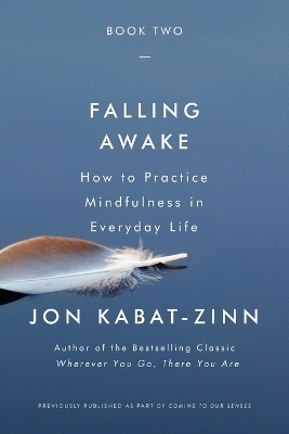 Falling Awake - Jon Kabat-Zinn