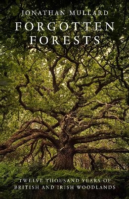 Forgotten Forests - Jonathan Mullard