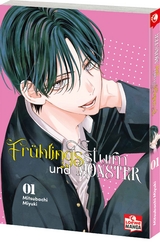 Fr&uuml;hlingssturm und Monster 01 - Miyuki Mitsubachi