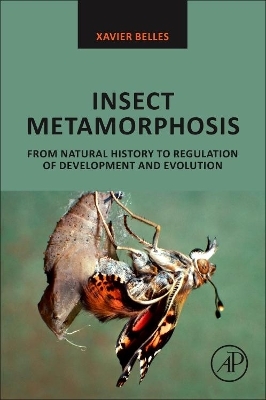 Insect Metamorphosis - Xavier Belles