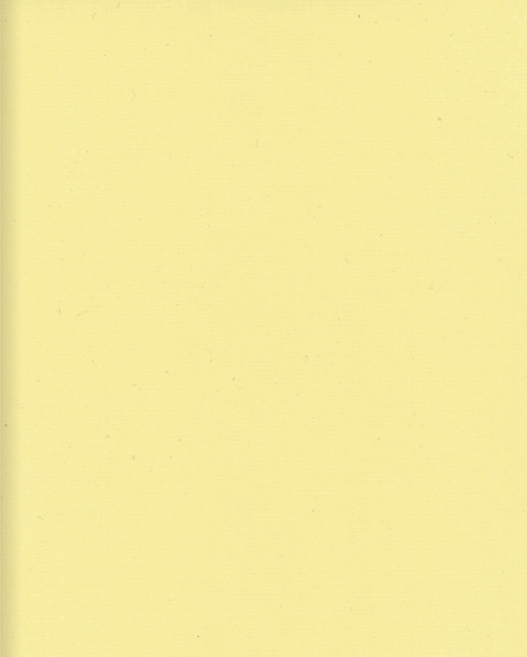 Liza Lacroix. One. Two. Three. [...] Twenty-Six - 