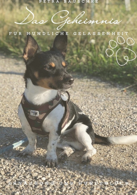 Das Geheimnis f&uuml;r hundliche Gelassenheit - Petra Bauschke