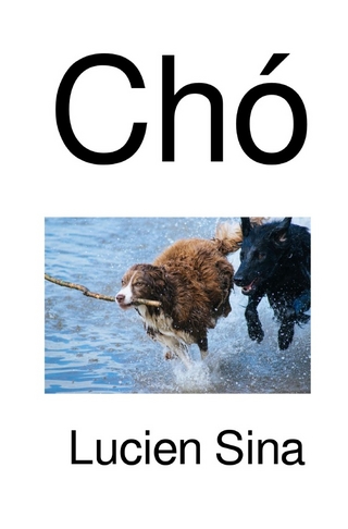 Chó