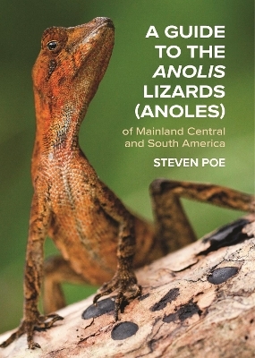 A Guide to the Anolis Lizards (Anoles) of Mainland Central and South America - Steven Poe