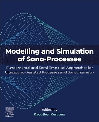 Modeling and Simulation of Sono-Processes