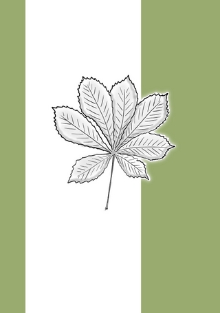 Notizheft Wald Blatt