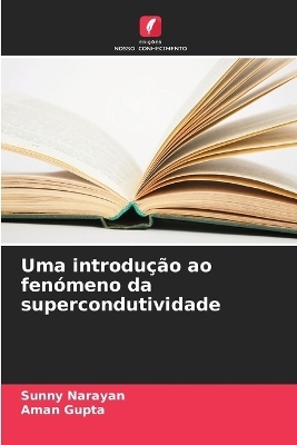 Uma introdu&ccedil;&atilde;o ao fen&oacute;meno da supercondutividade - Sunny Narayan, Aman Gupta