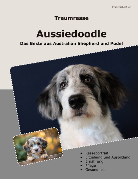 Traumrasse Aussiedoodle - Franz Schlichter