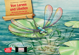 Von Larven und Libellen. Mit Kindern über den Tod und das Danach philosophieren. Kamishibai Bildkartenset - 