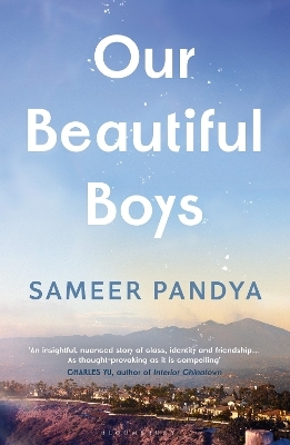 Our Beautiful Boys - Sameer Pandya