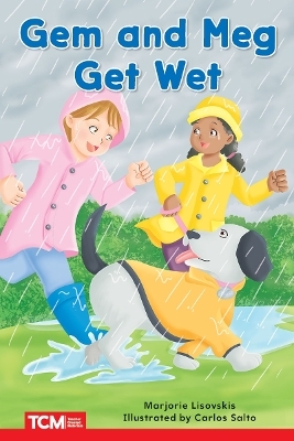 Gem and Meg Get Wet - Marjorie Lisovskis, Margie Lisovskis