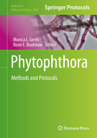 Phytophthora