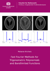 Fast Fourier Methods for Trigonometric Polynomials and Bandlimited Functions - Melanie Kircheis