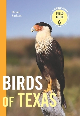 Birds of Texas - David Sarkozi