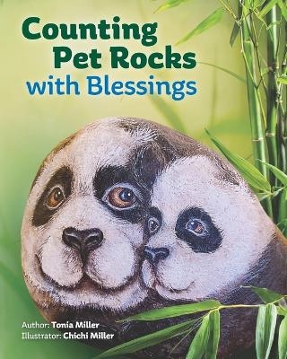Counting Pet Rocks - 