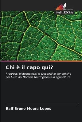 Chi &egrave; il capo qui? - Ralf Bruno Moura Lopes