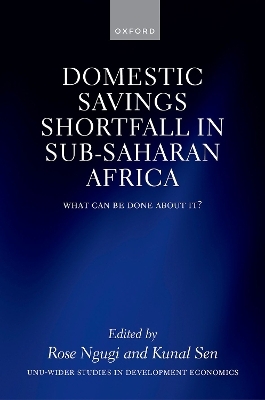 The Domestic Savings Shortfall in Sub-Saharan Africa