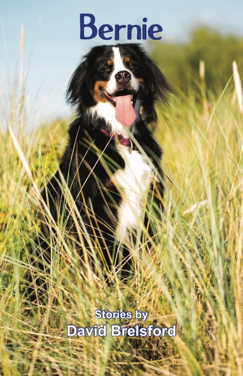 Bernie - David Brelsford