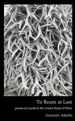 To Roam at Last - Gonzalo Adolfo