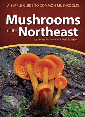 Mushrooms of the Northeast - Teresa Marrone, Walt Sturgeon