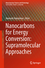 Nanocarbons for Energy Conversion: Supramolecular Approaches - 