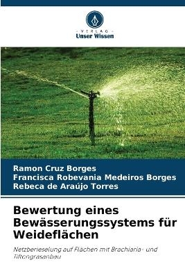 Bewertung eines Bewässerungssystems für Weideflächen