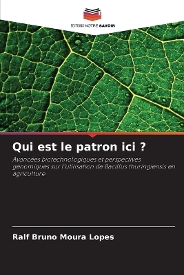 Qui est le patron ici ? - Ralf Bruno Moura Lopes