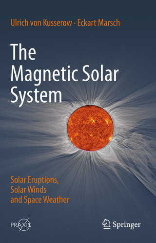The Magnetic Solar System