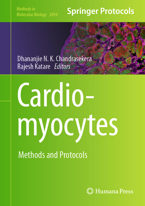 Cardiomyocytes - 