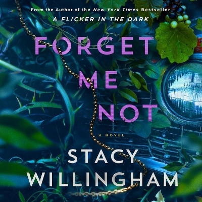 Forget Me Not - Author Stacy Willingham