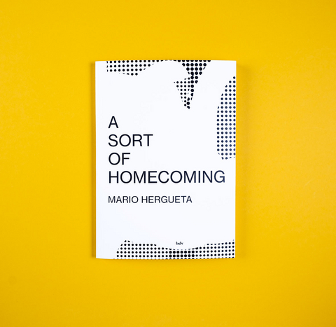A Sort of Homecoming - Mario Hergueta