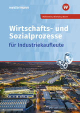 Wirtschafts- und Sozialprozesse für Industriekaufleute - Wierichs, Günter; Möhlmeier, Heinz