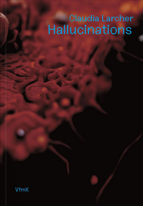 Claudia Larcher - Christian H&ouml;ller, Ivana Milos, Ruth Schib, Klaus Speidel