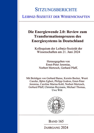 Die Energiewende 2.0: Review zum Transformationsprozess des Energiesystems in Deutschland