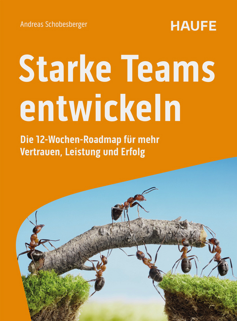 Starke Teams entwickeln - Andreas Schobesberger