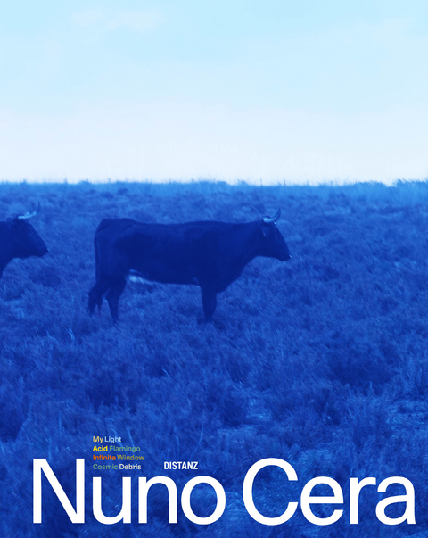 My Light / Minha Luz - Nuno Cera