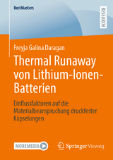 Thermal Runaway von Lithium-Ionen-Batterien - Freyja Galina Daragan