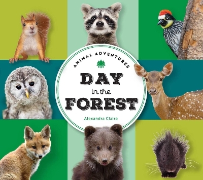 Animal Adventures: Day in the Forest - Alexandra Claire