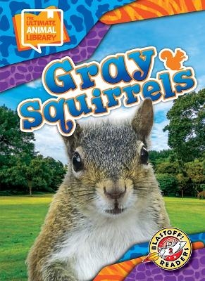 Gray Squirrels - Janie Scheffer